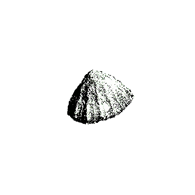 la bernique