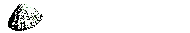 La bernique